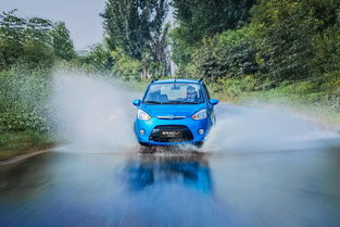 19年新能源汽車銷量盤點 微型車市場格局生變，奇瑞小螞蟻跌出前五